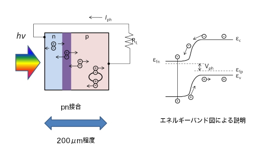 結晶系シリコン太陽電池の発電原理