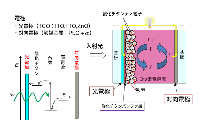 色素増感太陽電池(DSC)の構造